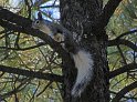 100_2850_edited-1